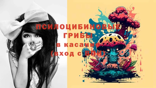прущий лед Осинники