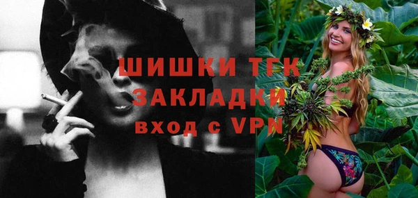 СК Алексин