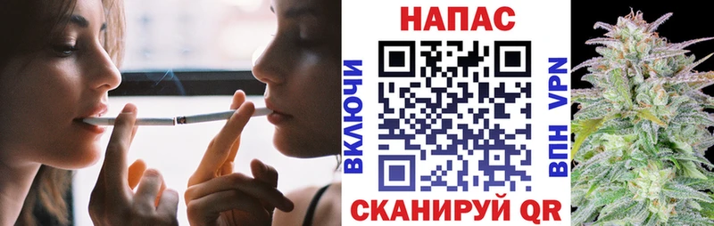 площадка телеграм  Дрезна  Каннабис AK-47 